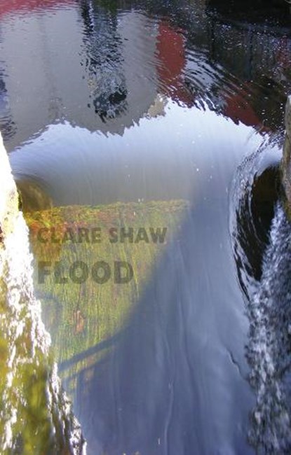 Flood, Clare Shaw - Paperback - 9781780374208