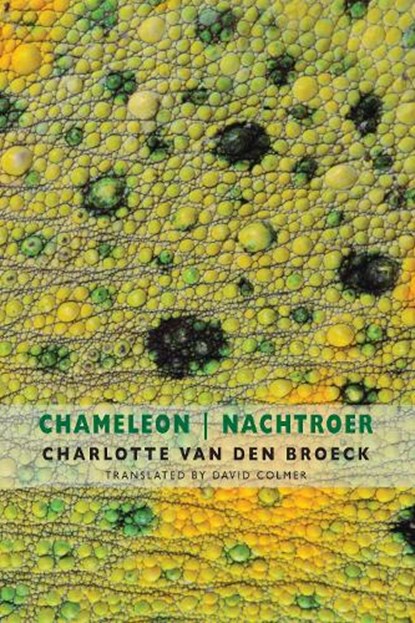 Chameleon | Nachtroer, Charlotte Van den Broeck - Paperback - 9781780374475