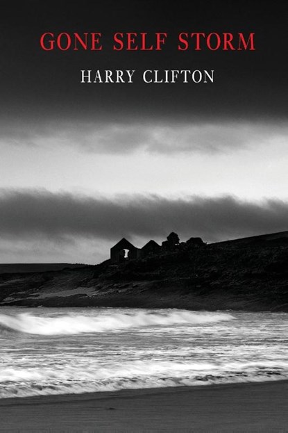 Gone Self Storm, Harry Clifton - Paperback - 9781780374536