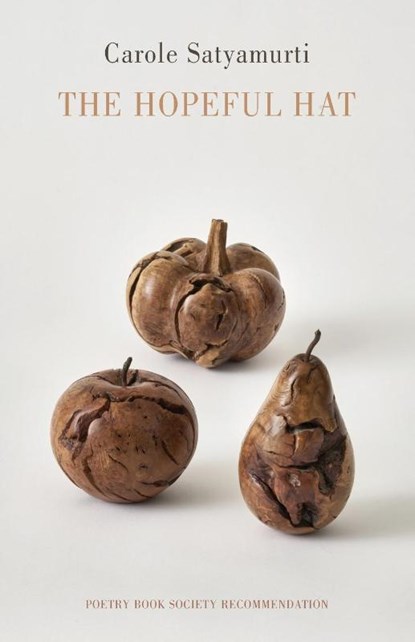 The Hopeful Hat, Carole Satyamurti - Paperback - 9781780376530