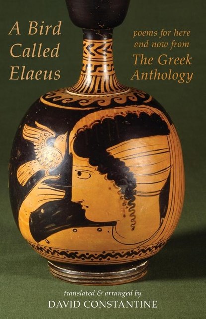 A Bird Called Elaeus, David J. Constantine - Paperback - 9781780377223