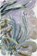 Monet's Broom, Helen Farish - Paperback - 9781780378022