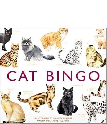 Cat Bingo, GEORGE,  Marcel - Losbladig Gebonden - 9781780679037