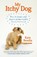 My Itchy Dog, BENDIX,  Kate - Paperback - 9781780723082