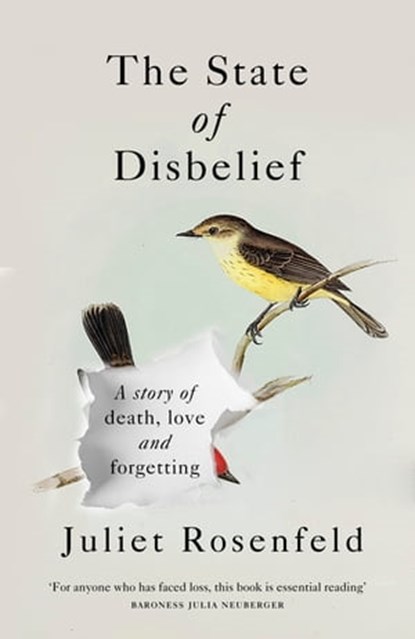 The State of Disbelief, Juliet Rosenfeld - Ebook - 9781780723808