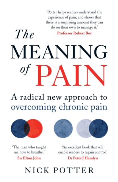 The Meaning of Pain, Nick Potter - Paperback - 9781780724171
