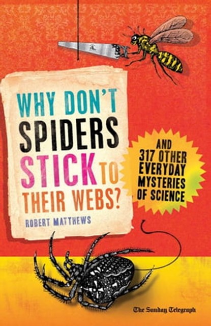 Why Don't Spiders Stick to Their Webs?, Robert Matthews - Ebook - 9781780740027