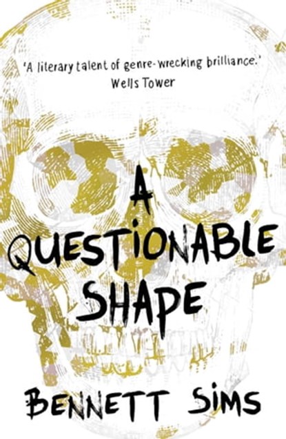 A Questionable Shape, Bennett Sims - Ebook - 9781780745862