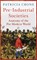 Pre-Industrial Societies, Patricia Crone - Paperback - 9781780747415