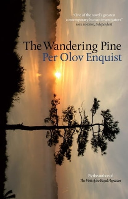 The Wandering Pine, Per Olov Enquist - Ebook - 9781780870182