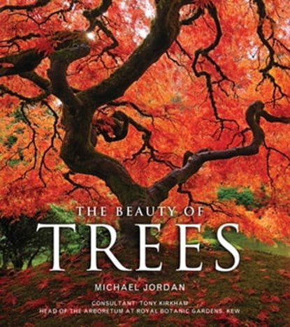 The Beauty of Trees, Michael Jordan - Ebook - 9781780875583