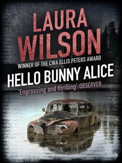 Hello Bunny Alice, Laura Wilson - Ebook - 9781780879475