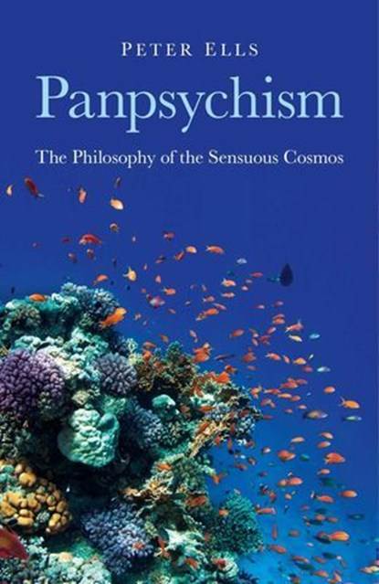 Panpsychism, Peter Ells - Ebook - 9781780990187