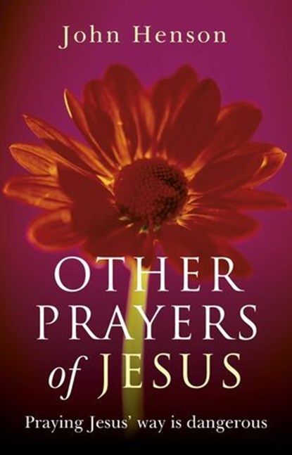 Other Prayers of Jesus, John Henson - Ebook - 9781780990552