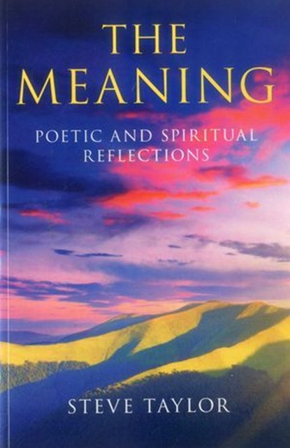 Meaning, Steve Taylor - Ebook - 9781780993041