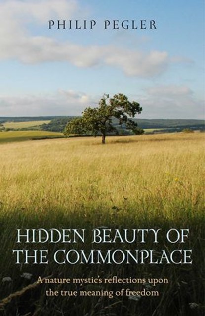 Hidden Beauty of the Commonplace, Philip Pegler - Ebook - 9781780993386