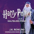 Harry Potter en de Halfbloed Prins | J.K. Rowling | 