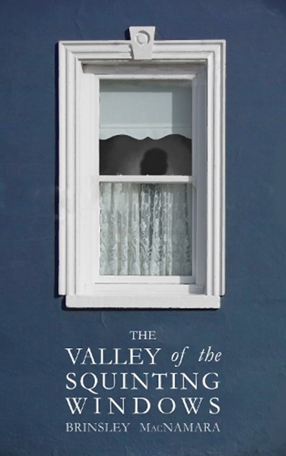 The Valley of the Squinting Windows, Brinsley McNamara - Paperback - 9781781176498