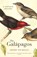 The Galapagos, Henry Nicholls - Paperback - 9781781250549
