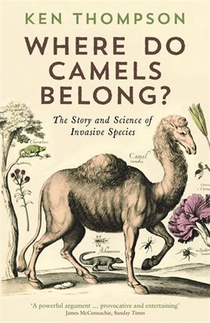 Where Do Camels Belong?, Ken Thompson - Paperback - 9781781251751