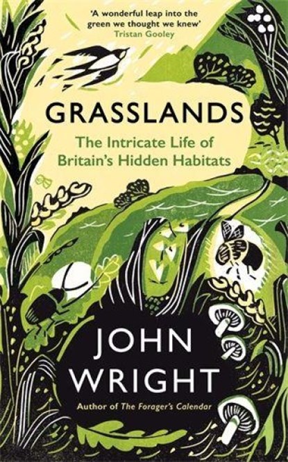 Grasslands, John Wright - Gebonden - 9781781258101