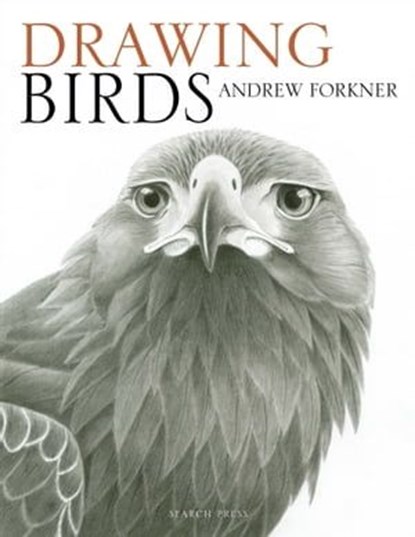 Drawing Birds, Andrew Forkner - Ebook - 9781781264997