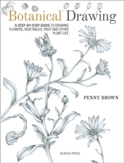 Botanical Drawing, Penny Brown - Ebook - 9781781266113