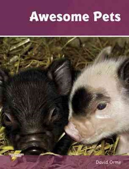 Awesome Pets, David Orme ; Orme David - Paperback - 9781781270752