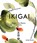 Ikigai: discover your reason for being, oliver delorie - Overig Gebonden - 9781781318294