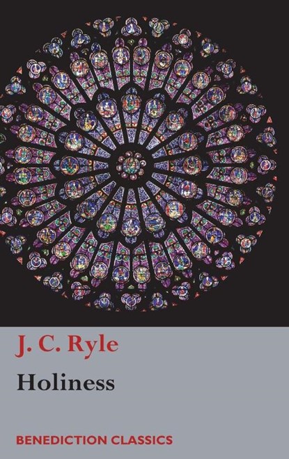 Holiness, J C Ryle - Gebonden - 9781781399118