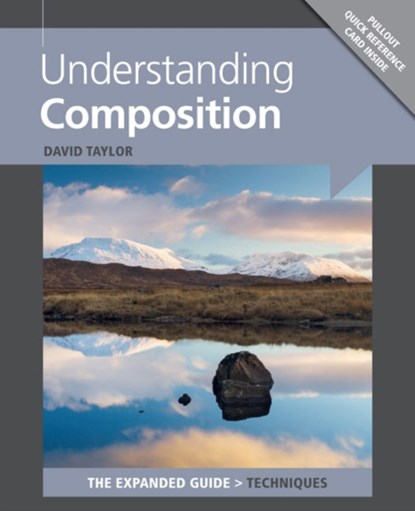 Understanding Composition, David Taylor - Paperback - 9781781450512