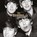 The Beatles, Ammonite Press - Paperback - 9781781454848