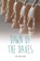 Dawn of the Daves, Tim Collins - Paperback - 9781781478097