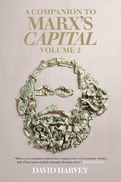 A Companion to Marx's Capital, Volume 2, David Harvey - Paperback - 9781781681213