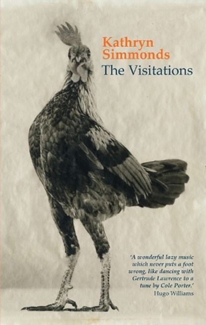 Visitations, SIMMONDS,  Kathryn - Paperback - 9781781721162