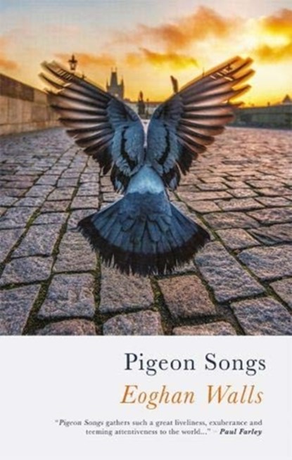Pigeon Songs, Eoghan Walls - Paperback - 9781781724903