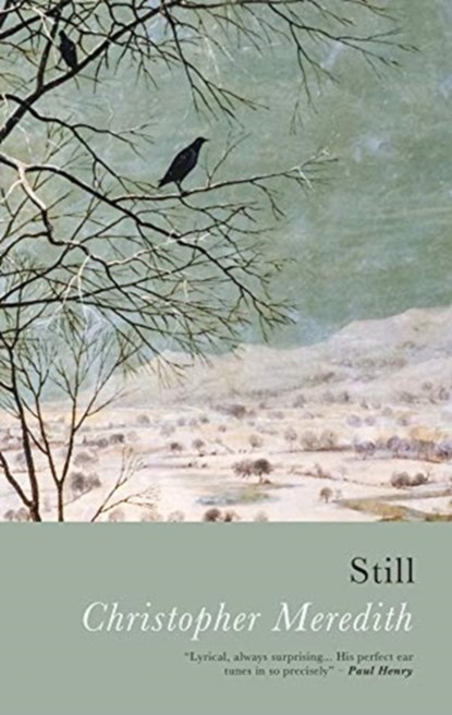 Still, Christopher Meredith - Paperback - 9781781726143