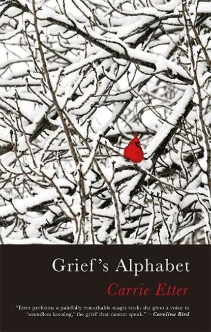 Grief’s Alphabet, Carrie Etter - Paperback - 9781781727508