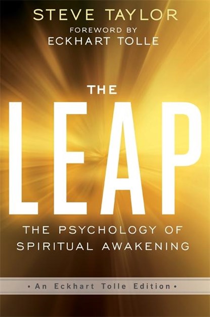 The Leap, Steve Taylor - Paperback - 9781781809211
