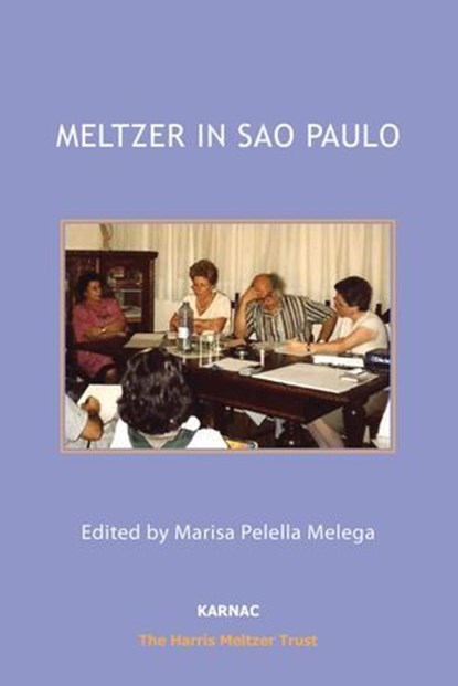 Meltzer in Sao Paulo, niet bekend - Ebook - 9781781816707