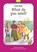 Lottie Moon: What do you need?, Catherine MacKenzie - Gebonden - 9781781915882