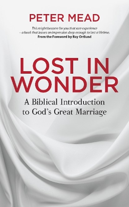 Lost in Wonder, Peter Mead - Paperback - 9781781919071