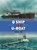 Q Ship vs U-Boat, David Greentree - Paperback - 9781782002840