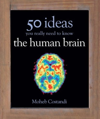 50 Human Brain Ideas You Really Need to Know, Moheb Costandi - Ebook - 9781782062523