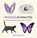Physics in Minutes, Giles Sparrow - Paperback - 9781782066484