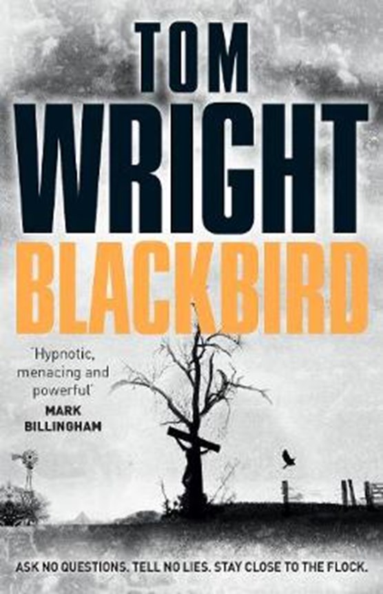 Wright, T: Blackbird