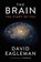 Brain, EAGLEMAN,  David - Gebonden - 9781782116585