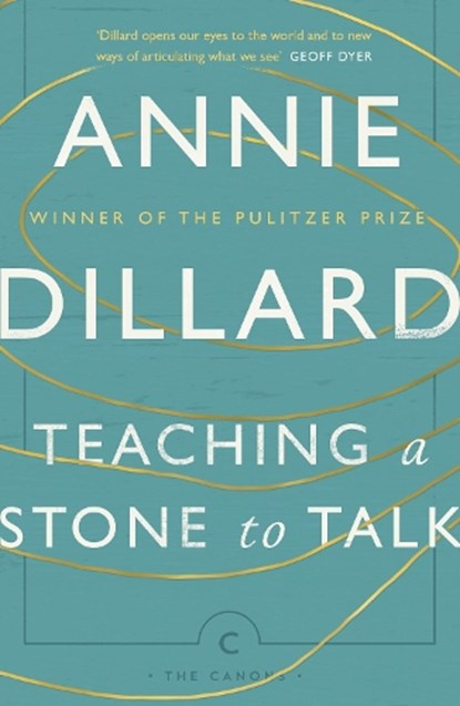 Teaching a Stone to Talk, Annie Dillard - Paperback - 9781782118855