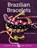 Search Press Mini Makes: Brazilian Bracelets, Sandra Lebrun - Gebonden - 9781782212423