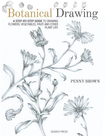 Botanical Drawing, Penny Brown - Paperback - 9781782212607